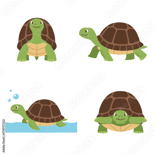 Turtle Vector Illustration Set