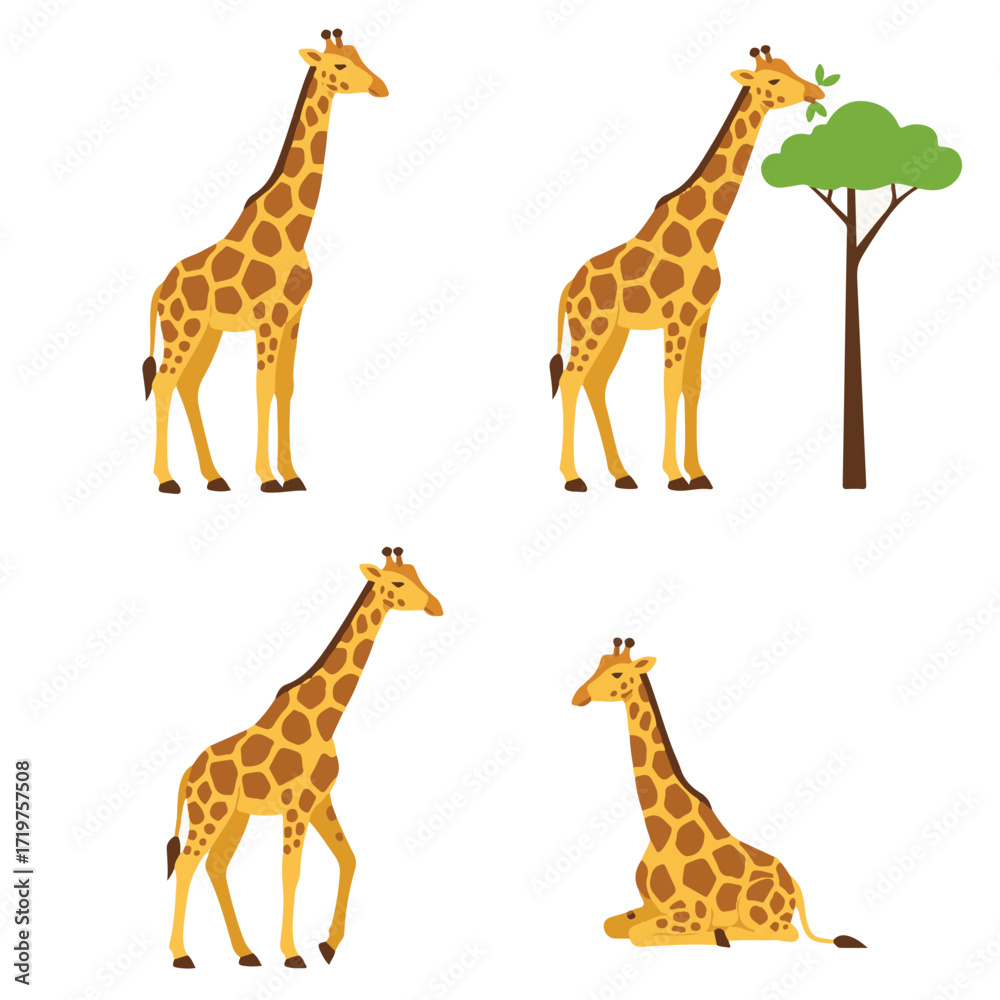Obraz premium Giraffe Vector Illustration Set