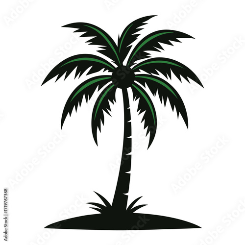 palm tree silhouette