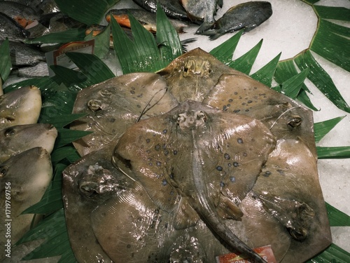 Manta stingray fish displayed for sale in supermarket
