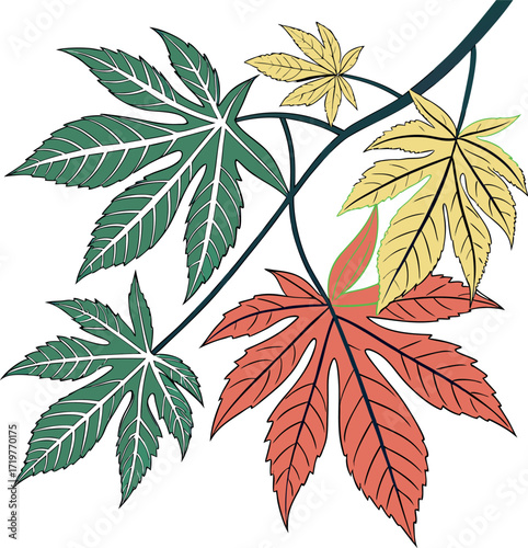 leaves