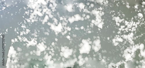 Tree shadow and light of leaf branch background. Nature leaves tropical jungle tree branch dark shadows and light from sunlight on wall texture for background wallpaper design, shadow overlay effect 