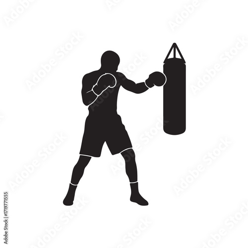 Boxer training silhouette