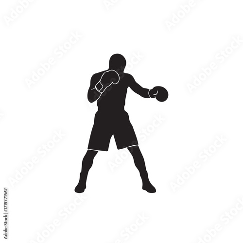 Boxer training silhouette
