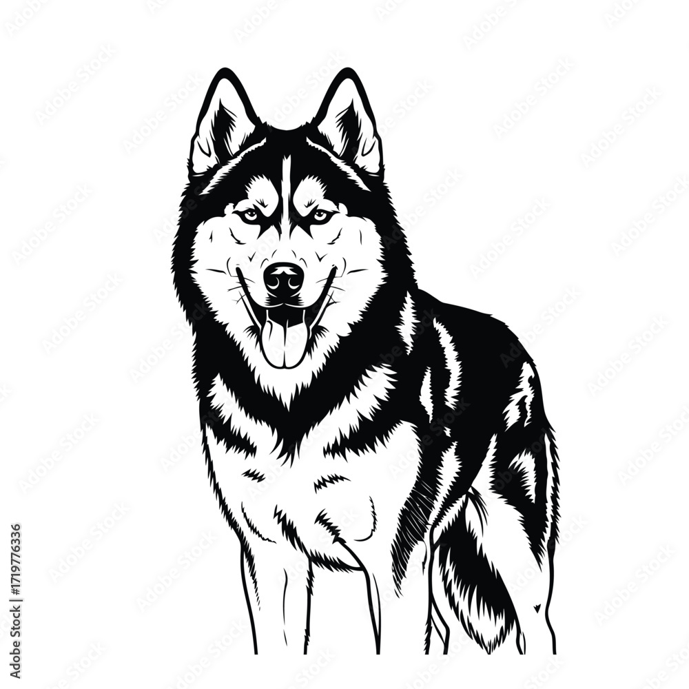 Fototapeta premium Vector art of husky dog portrait