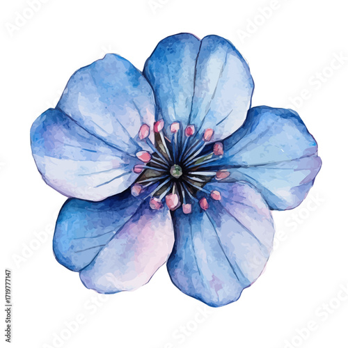 minimal yet artistic elements for creative designs. hand-drawn paint, Simple Illustration, A beautiful painting of forget-me-not flower, EPS format, isolated on a white background, watercolor style	