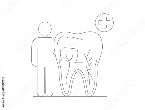 Man standing next to tooth isolated on white background, tooth; dentist; dental; care; health