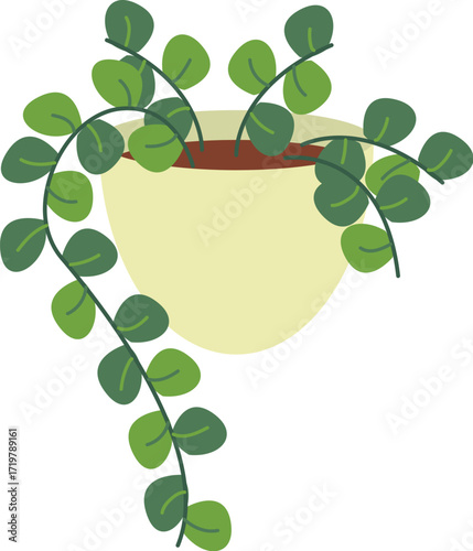 Green trailing plant with rounded leaves in a light yellow pot.