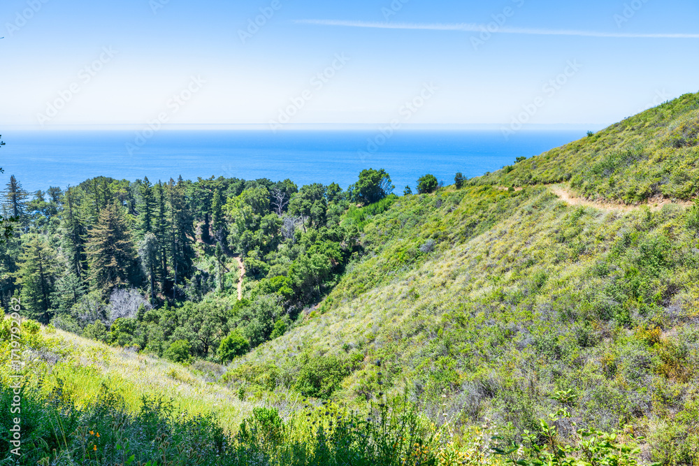 Fototapeta premium Green hills and forested mountains along California Highway 1 near Big Sur with the Pacific Ocean in the distance, capturing scenic coastal landscape, nature, and outdoor travel