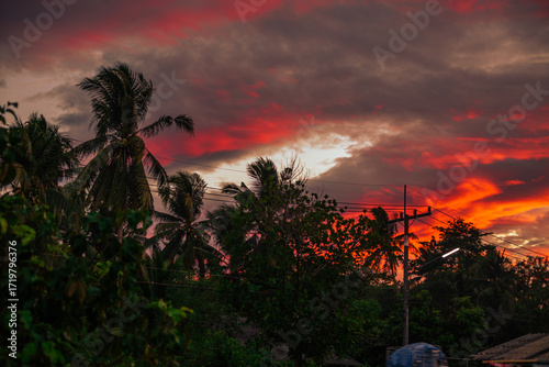 The background of the twilight sunset, the sky has beautiful changes, amidst the green fields and various trees, there is a cool breeze blowing throughout the journey to the viewpoint.