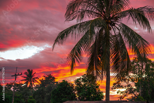 The background of the twilight sunset, the sky has beautiful changes, amidst the green fields and various trees, there is a cool breeze blowing throughout the journey to the viewpoint.