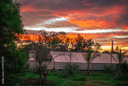 The background of the twilight sunset, the sky has beautiful changes, amidst the green fields and various trees, there is a cool breeze blowing throughout the journey to the viewpoint.