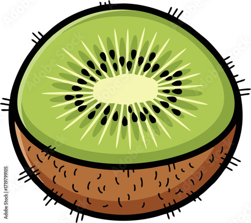 Kiwi Vector Illustration