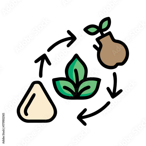 Illustration of the plant growth cycle, from seed to sprout, with arrows indicating the process