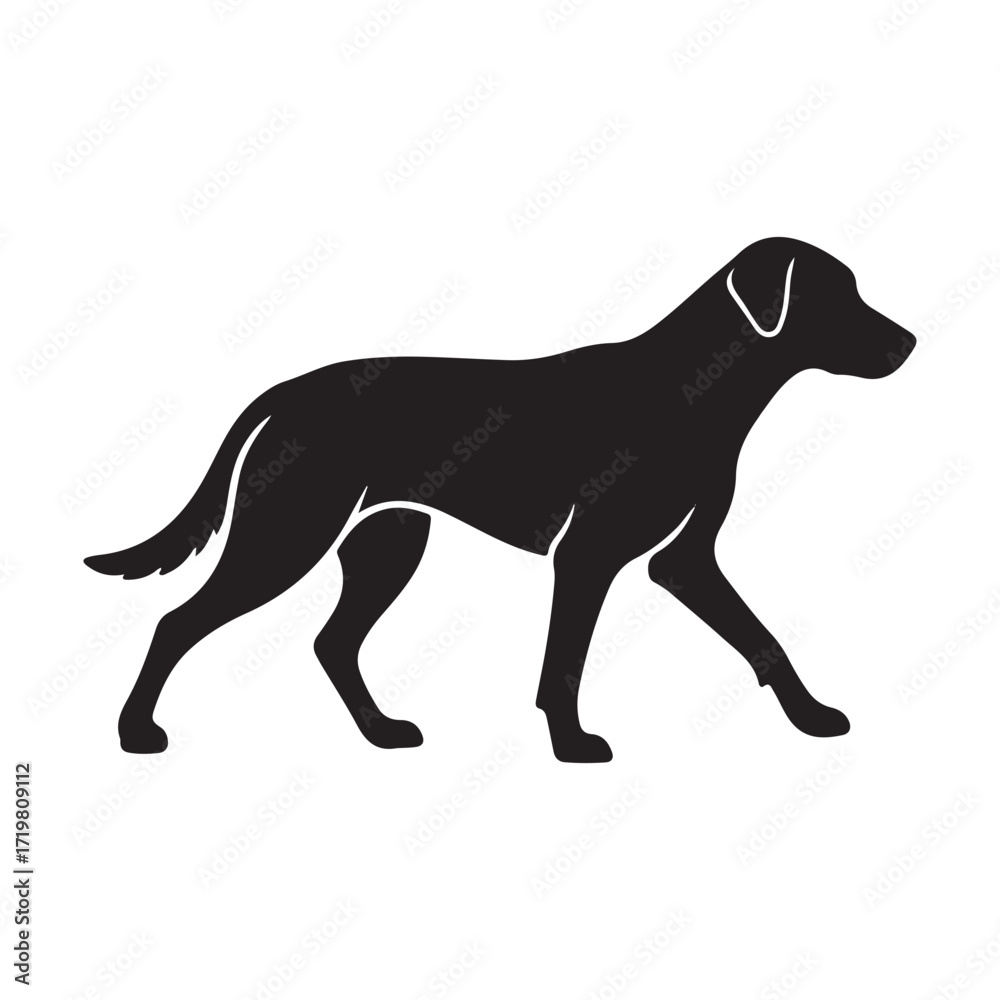 Naklejka premium Dog, Dogs, Dog isolated, Dog and cat, Happy dog, Dog icon, Dog silhouette