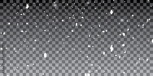 Snowflakes on a transparent background. Snow flakes, snow background. Heavy snowfall, snowflakes in different shapes and forms.