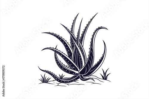 black  aloe vera vector on  white  background 4