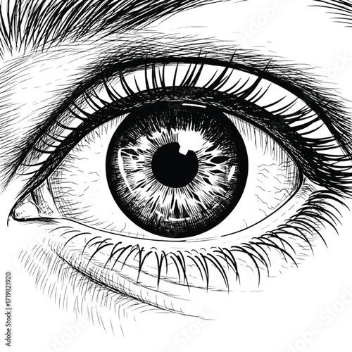 eye of the woman