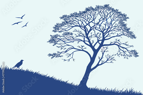 Serene Vector Landscape with Rolling Hills