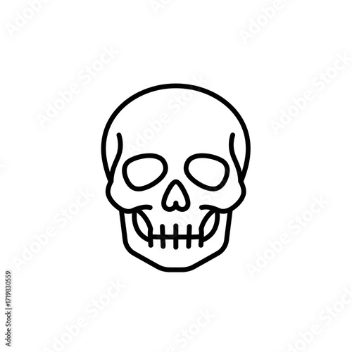 Simple linear skull icon in minimalist style on white background  