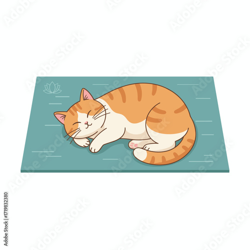 Orange tabby cat sleeping peacefully on blue mat  