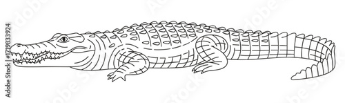 Crocodile in profile line drawing style against white background