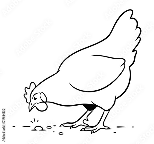 Hen pecking seeds against white background