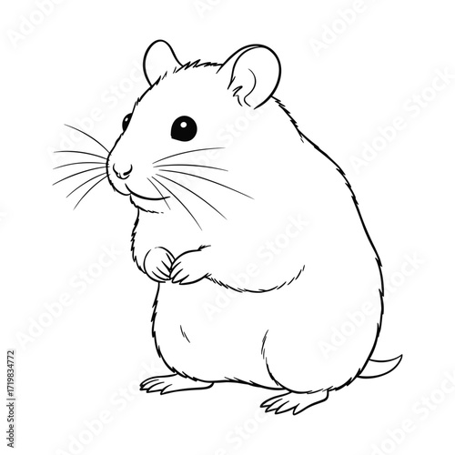 Hamster against white background