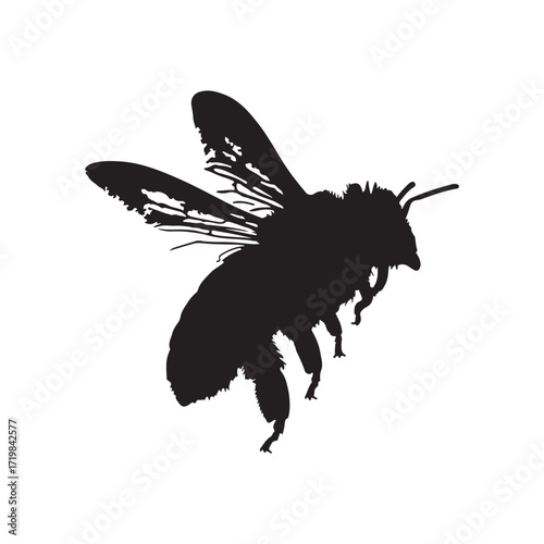 All
