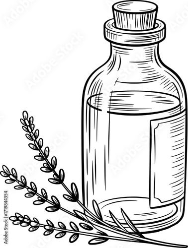 Glass bottle with cork and lavender sprigs stopper liquid