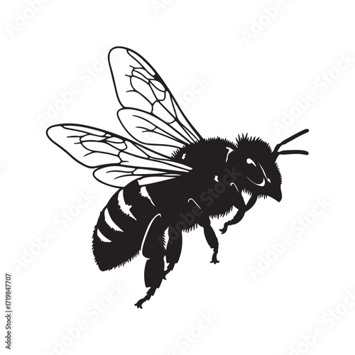 All