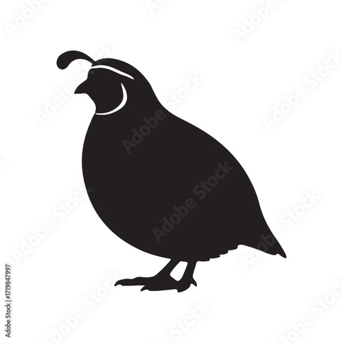 All