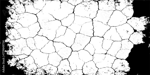 Abstract textured background of dry cracked earth, resembling the intricate pattern of old tree bark
