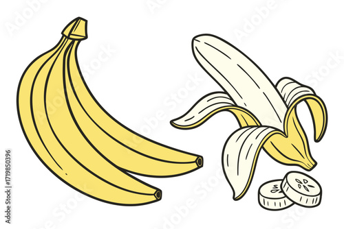 illustration of bananas isolated