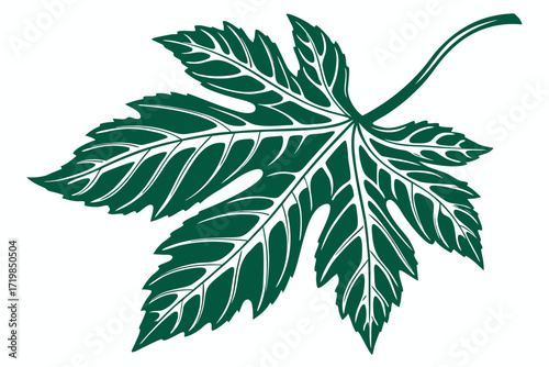green leaf isolated on white