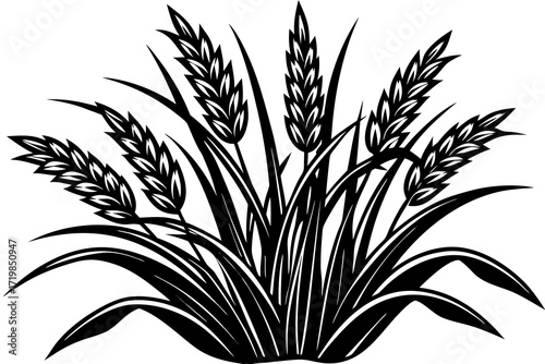 wheat ears vector