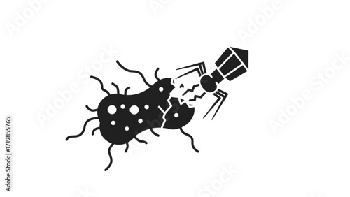 Advanced Insect Predation on Bacteria - Comprehensive Study of Microbial Control and Ecological Impact