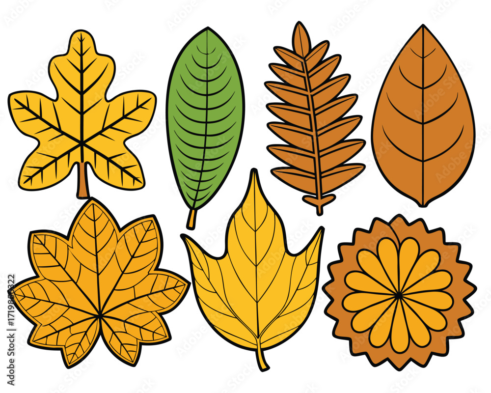 Obraz premium Colorful Vector Illustration of Various Fall Autumn Leaves for Graphic Design Projects