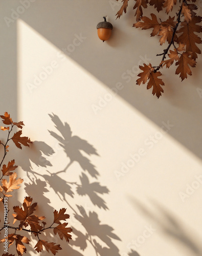 Minimalist autumn background with oak leaves and sunlit shadows