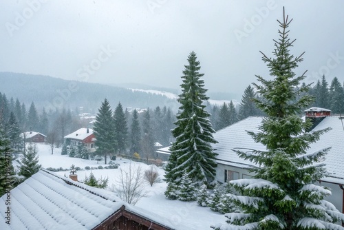 Winter background. Christmas landscape with snow and fir trees.
