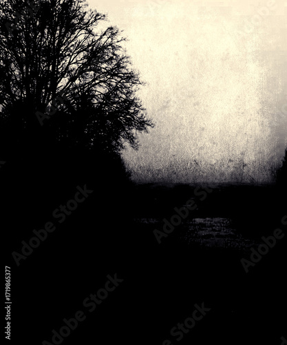 Scary horror tree, grunge nature wallpaper