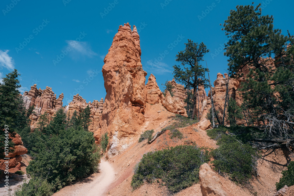 Fototapeta premium Lush greenery and towering rock formations characterize this canyon trail view.