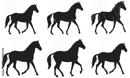 Six Horses Silhouettes Trotting in Sequence