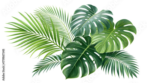 Bright summer tropical leaves set, palm and monstera, transparent PNG