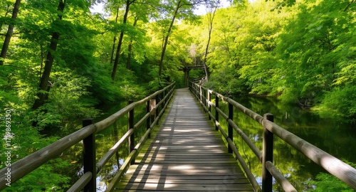 Fototapeta Naklejka Na Ścianę i Meble -  Wooden walkway bridge through lush green forest