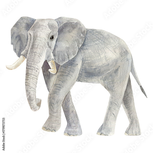 Hand-painted watercolor illustration of a majestic elephant. Artistic wildlife artwork with soft textures and delicate brushstrokes. Perfect for posters, prints, cards, and creative design projects.