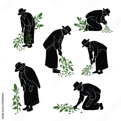 Vector art of farmer harvesting plant