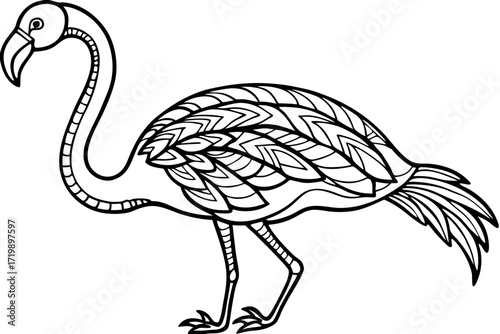 vector illustration of an ostrich head