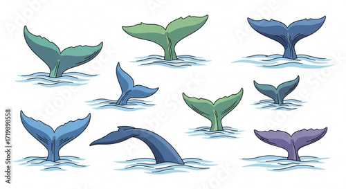 Illustration of various whale tails emerging from the water, showcasing different shapes, sizes, and colors in a playful style
