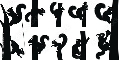 Squirrel silhouette illustration, tree interaction, playful pose, climbing action, animal behavior, black figure, forest creature, whimsical design, vector art